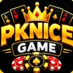 PKNICE Game
