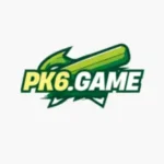 PAK6 VIP Download